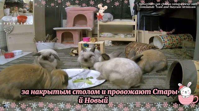 НАГЛАЯ СВЕКРОВЬ ЯВИЛАСЬ В МОЮ КВАРТИРУ С ОРАВОЙ ЛЮДЕЙ