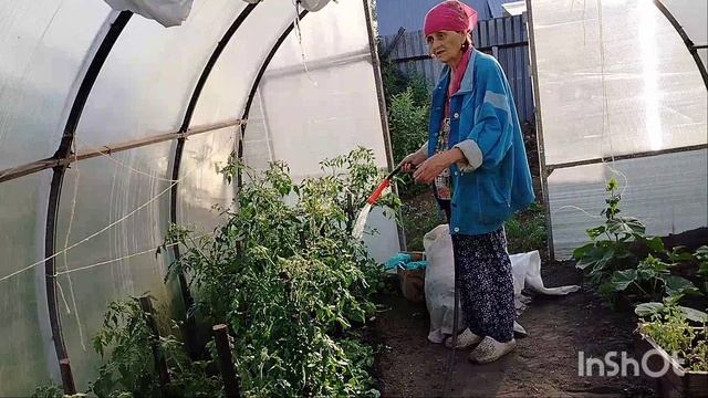 Влог 13 июня 2025 Алтайский край