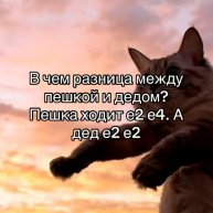 общение, рассуждения, обозрение