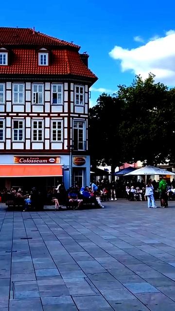 Камера засняла редкий случай