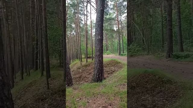 дождик лей-лей, чтобы было веселей