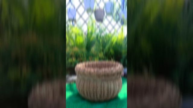 1000025532.mp4