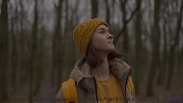 Поля вспыхивают красками, когда играет такой ритм - Way-to-West -- Ketsa -- Reflective Processes
