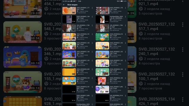 SVID_20250613_140839_1.mp4