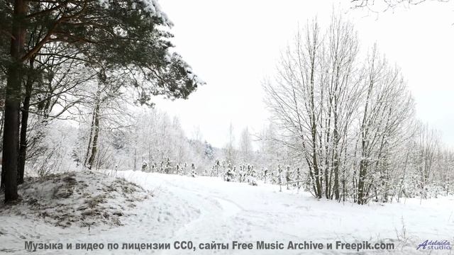 Музыка, от которой ВЗРЫВАЕТСЯ голова! - Cest La Vie -- Derek Clegg -- Solar