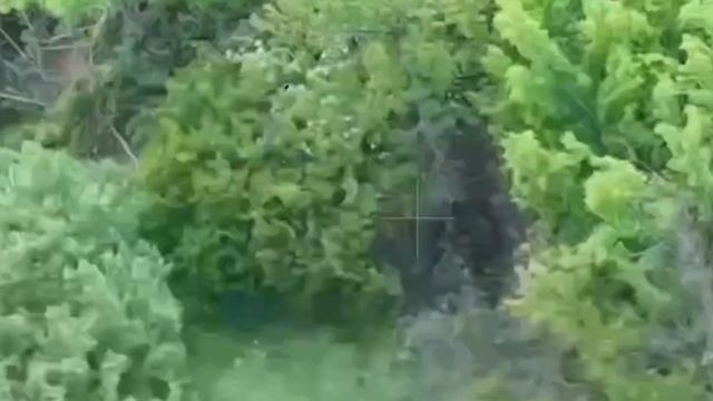 Станцию РЭБ и 120-мм миномёт противника уничтожили артиллеристы