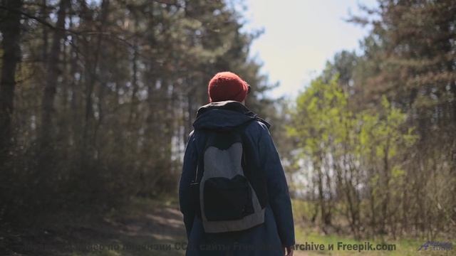 Мелодия льётся по венам так же легко, как ветер - Невзялазь -- Фиорд -- Невзялазь