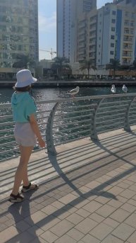 VID_20241210_140707.mp4