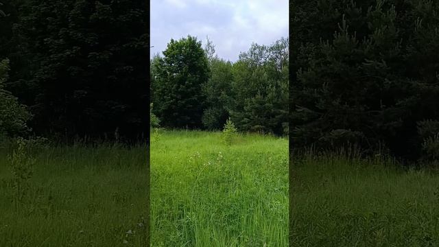 1000039105.mp4