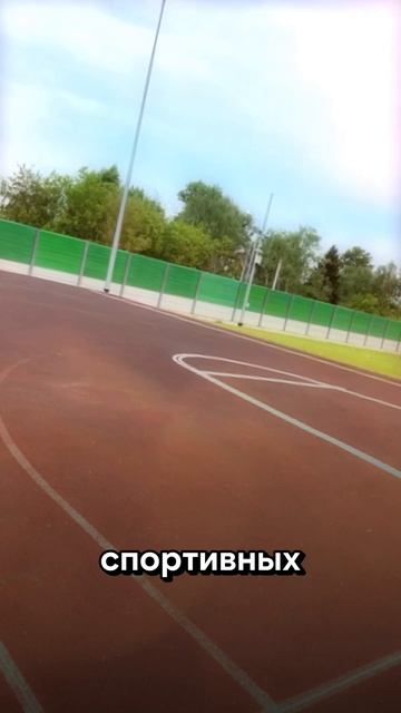 Спортивная разметка стадиона "Жаворонки"
