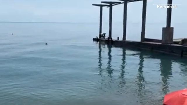 Сочи Адлер Чёрное море сегодня 13  июня 2025. Обстановка на Центральном пляже, погода и море