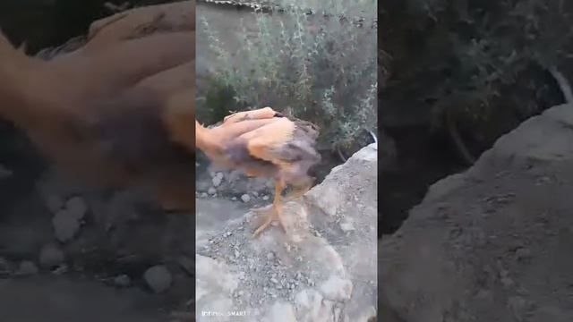 1000237478.mp4