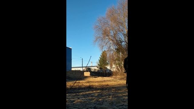 Полгода стрельбы из лука, с моим то паркинсоном