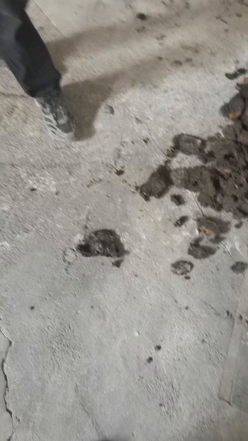 VID_20250613_095652.mp4