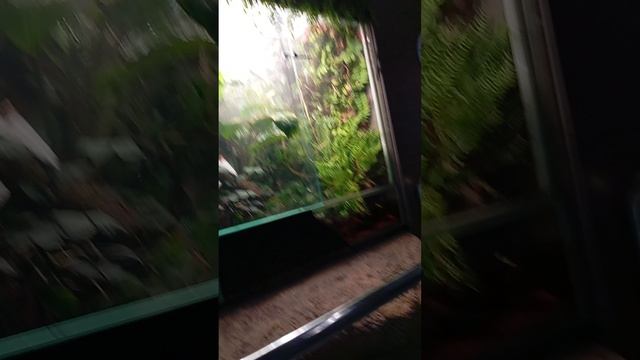 МОСКВА И ПЕТЕРБУРГ часть 7 день 2