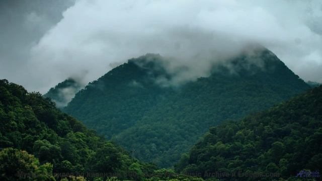 Мелодия, которая звучит как 'я люблю тебя' без слов... - Telling Me Yes -- Ryan Andersen -- MORE
