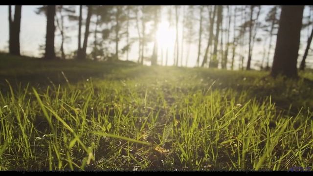 Кадры, которые заставят вашу свекровь замолчать! - In Chains -- Frau Holle -- Different Ways