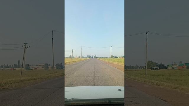 1000106952.mp4
