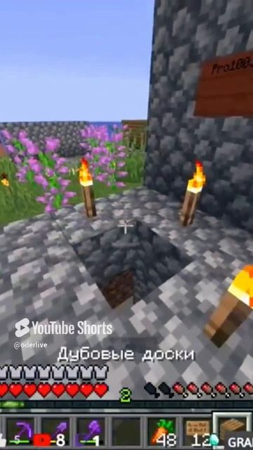 Minecraft Лучшее #963