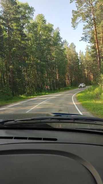 Лесная дорога