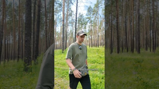 Пробудился? Теперь выбирай путь, а не зарплату.