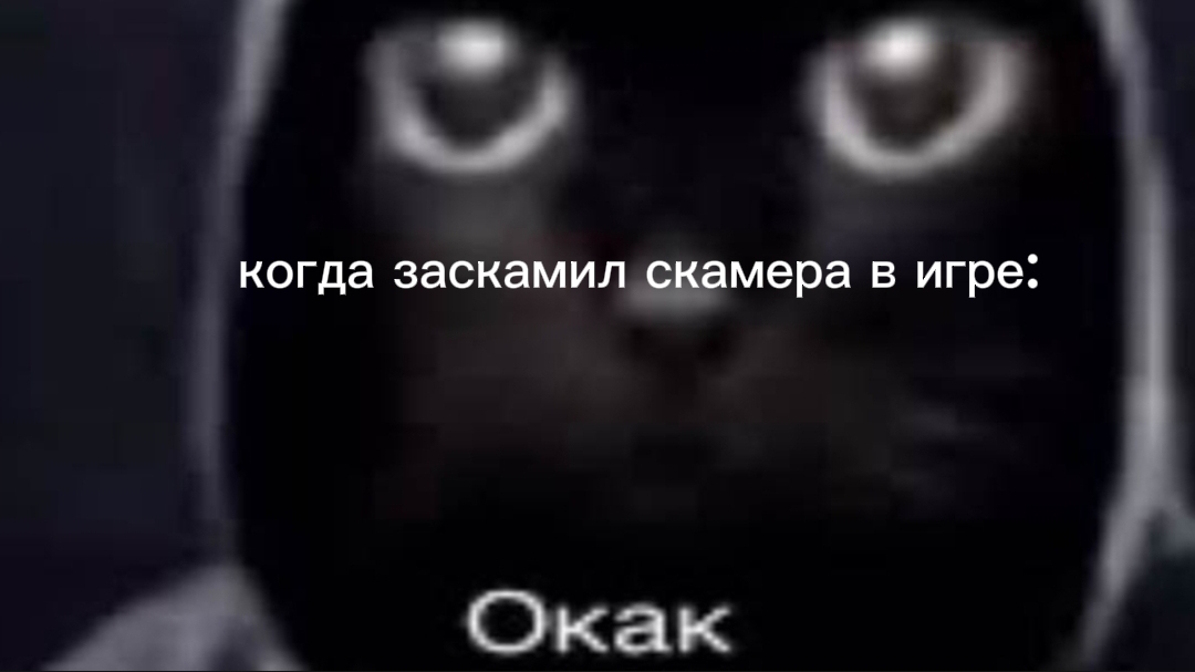 заскамил скамера