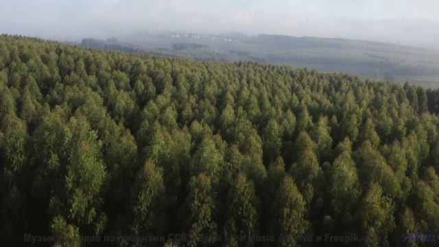 Это не просто клип - это эмоции, которые делают жизнь ярче! - Howard Beal -- New Millennium String E