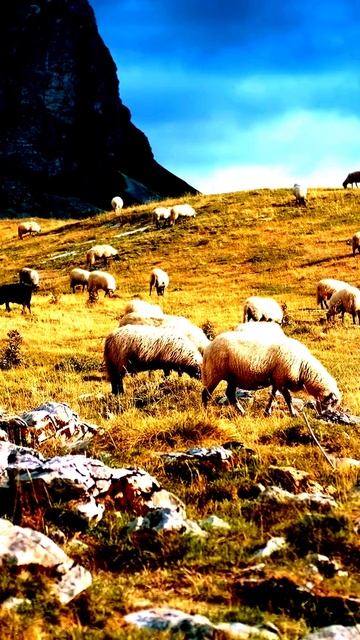 Моменты, захваченные камерой