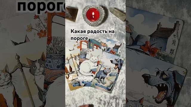 КАКАЯ РАДОСТЬ НА ПОРОГЕ