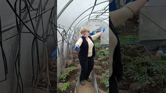 ах и умница!