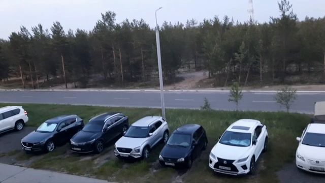 БЕЛЫЕ НОЧИ