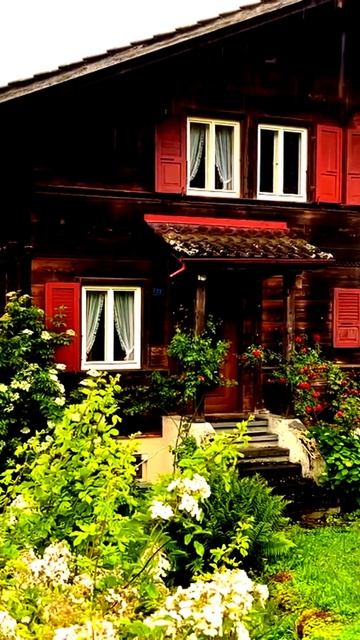 Поймано за долю секунды