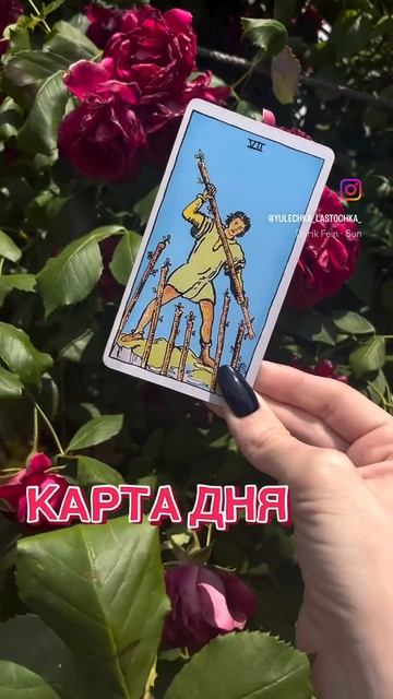 Сегодня нам выпала Семерка Жезлов, а это значит… ПРИГОТОВЬСЯ К ПРИКЛЮЧЕНИЯМ! 😜