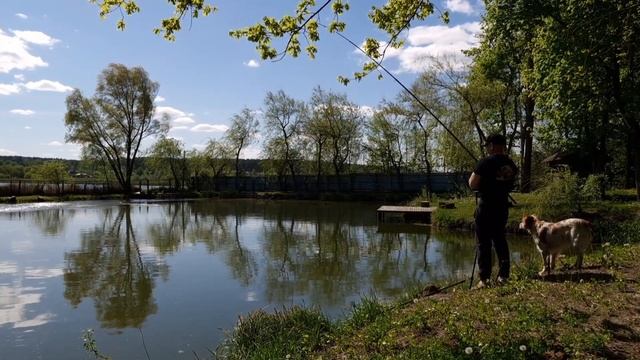Ловля трофейного сома! Часть 2. Карпа и амура тоже )