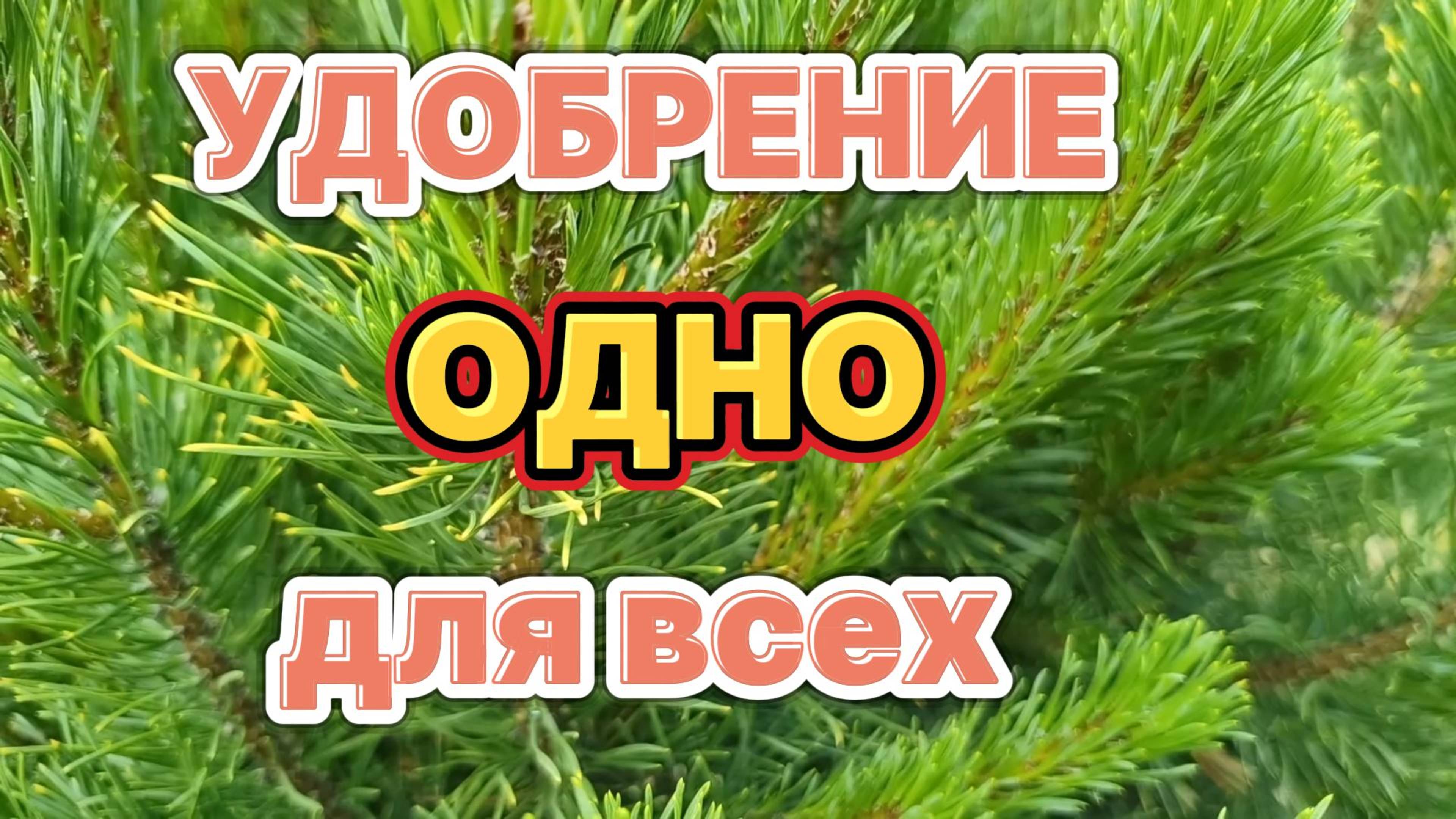Удобрения для растений