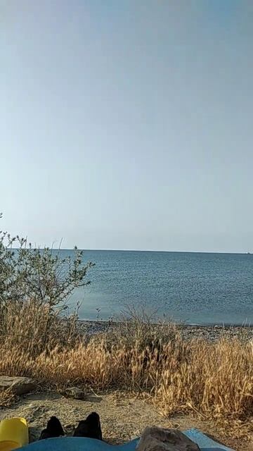 VID-20250606-WA0001.mp4
