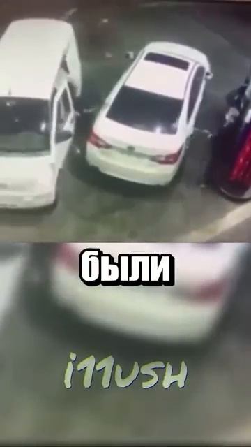 i11ushenka (52)
