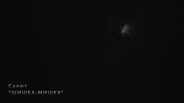 RB1603-20 Шишка мишка (0, 8" х 16)