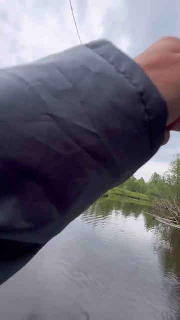 Первая рыба на счету новинки — Jackall Abbey minnow #jackall #japan  #fishing #new