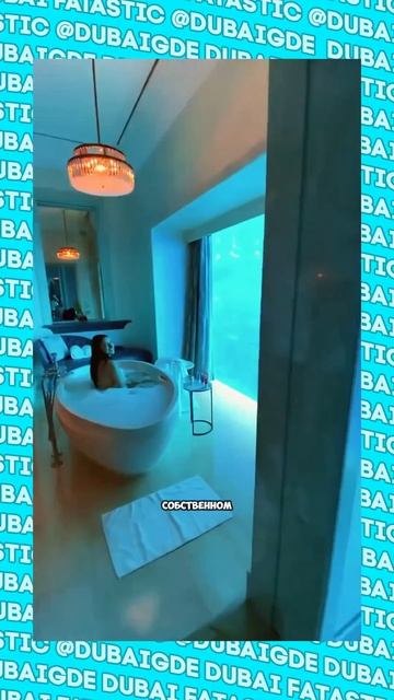 Самый дешевый и самый дорогой отель в Дубае #shorts