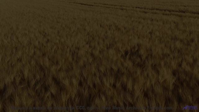 Ваш личный оазис спокойствия - просто нажмите Play! - Make A Wish -- Scott Holmes Music -- Inspiring