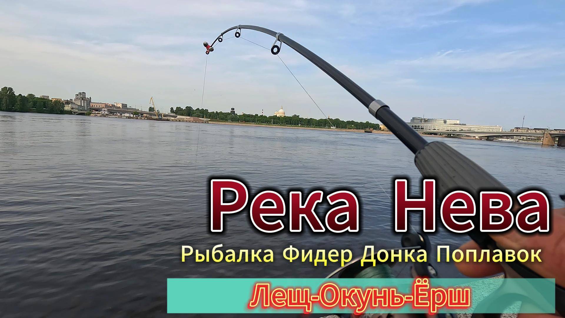 ФИДЕР ДОНКИ УДОЧКА ЛЕЩ ОКУНЬ РЫБАЛКА НА РЕКЕ НЕВА