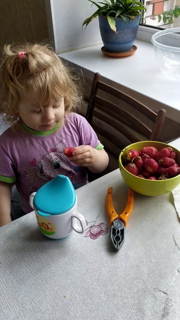 Работаем дома.