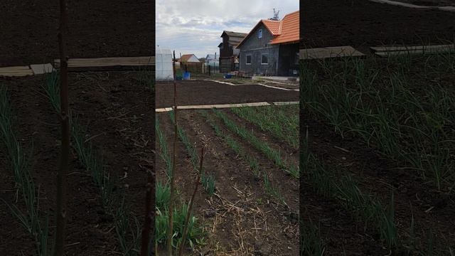 мои 10 соточек