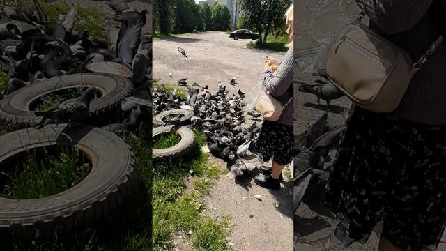 20250613_131332.mp4