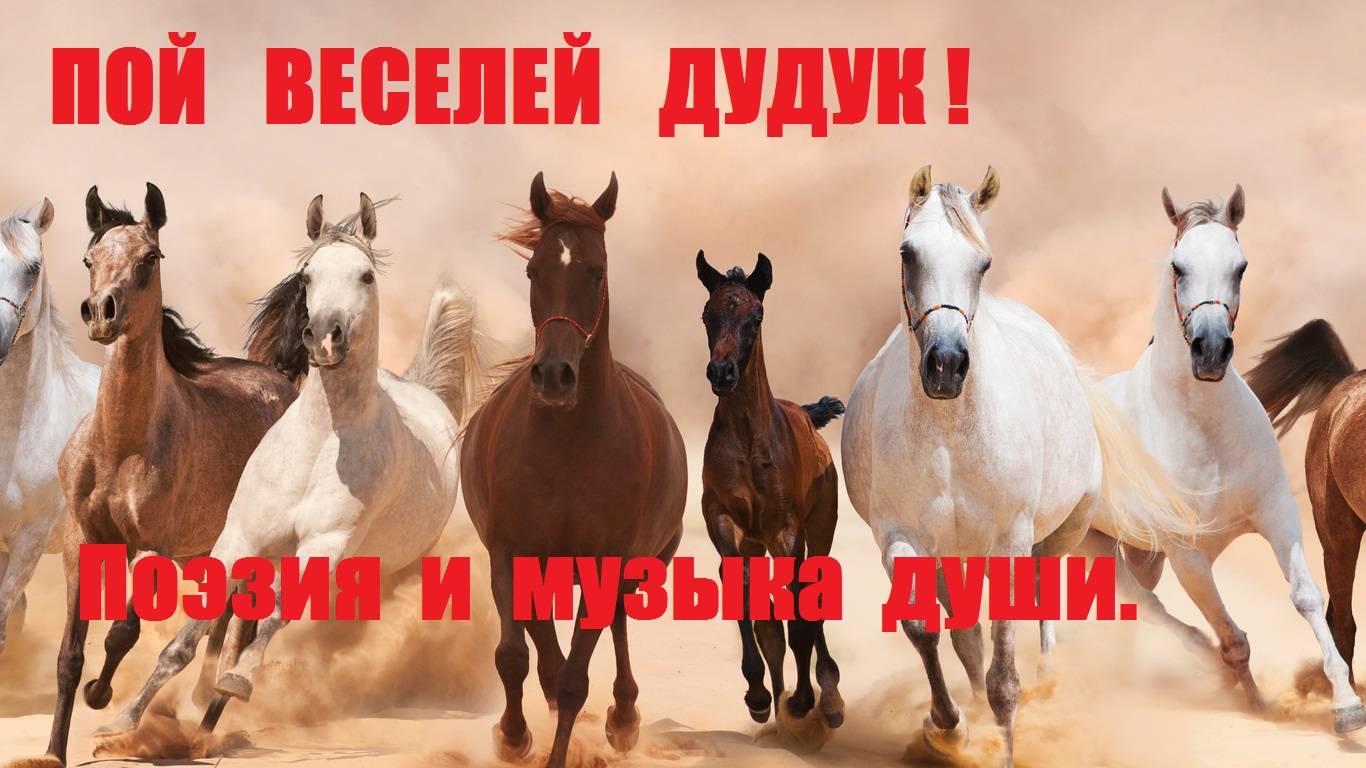 ПОЙ ВЕСЕЛЕЙ, ДУДУК! Автор стихотворения А. Соколов. Автор видеоролика В. Голикова.