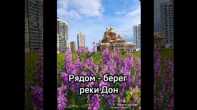 Квартиры в Шилово