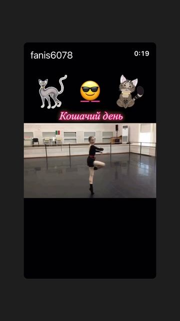 Кошачий день