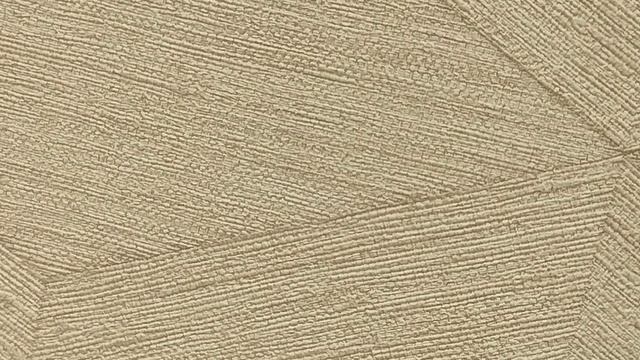 Обзор обоев Alta Gamma Fibers 25832
