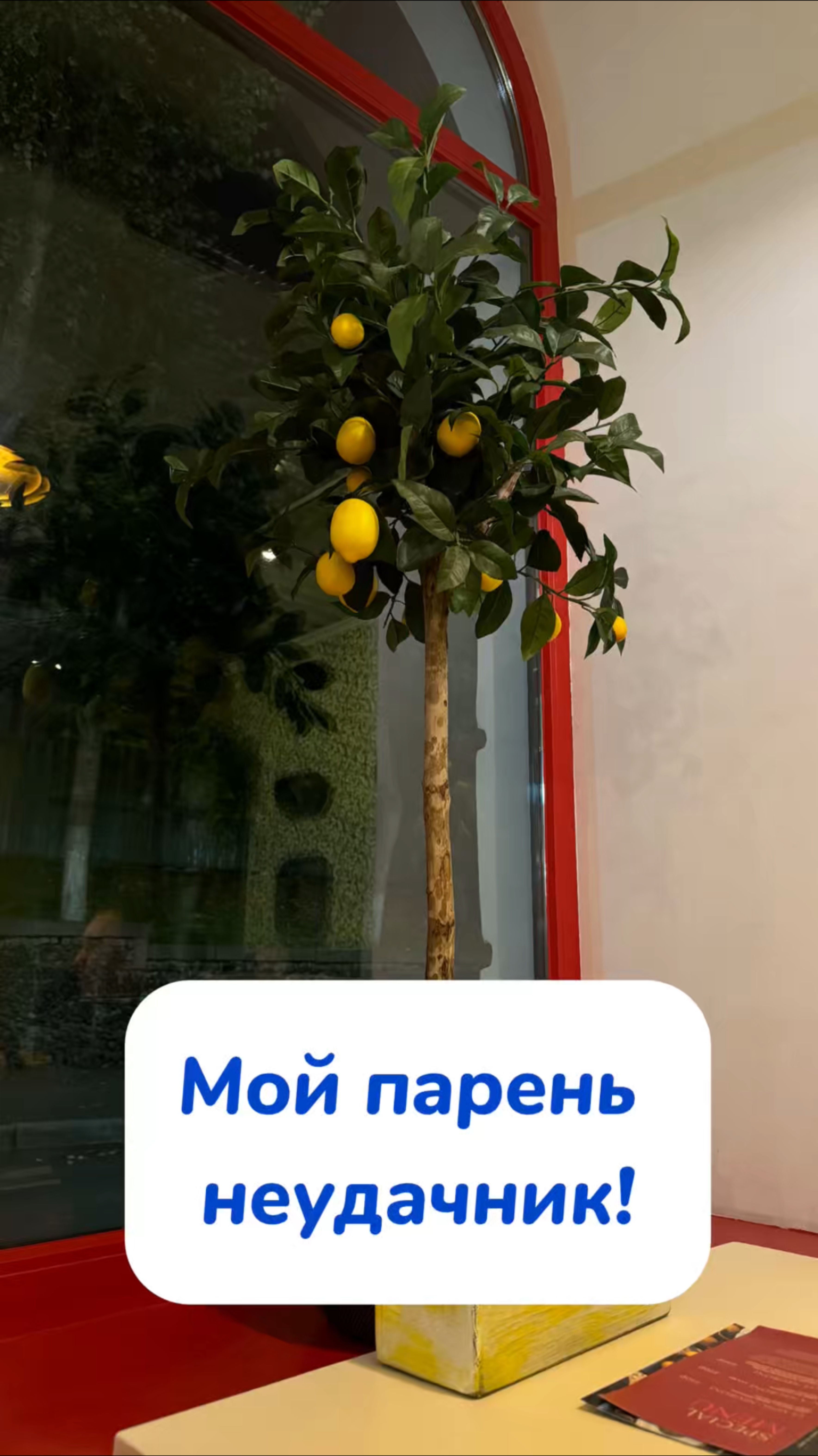 Ваш лучший помощник для дома! Артикул на WB #234577722 
Ozon #1664064287